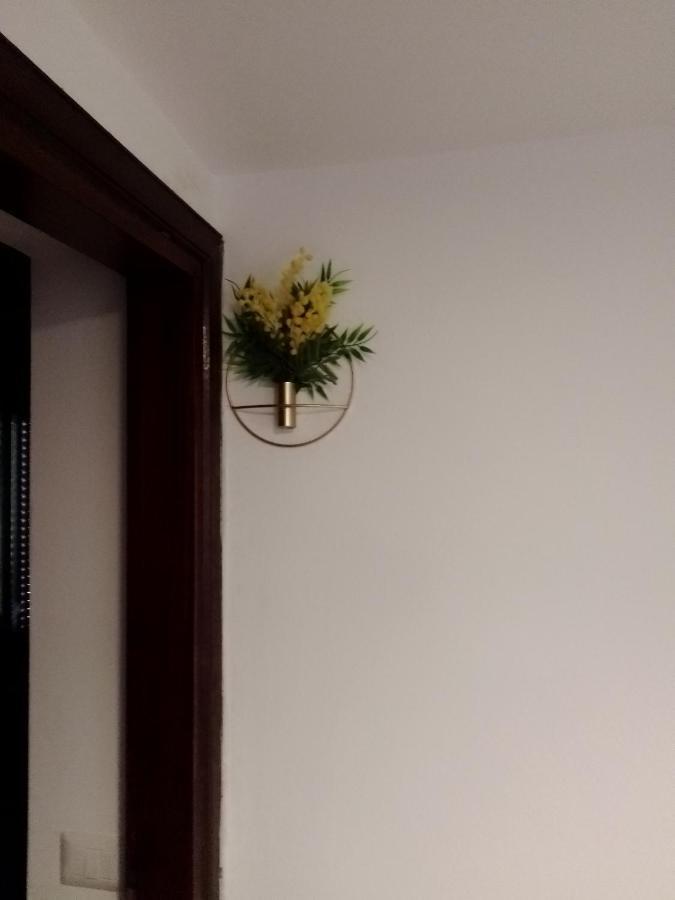 Casa Carducci Affittacamere Monteleto Zewnętrze zdjęcie