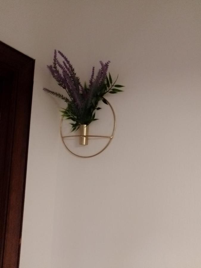 Casa Carducci Affittacamere Monteleto Zewnętrze zdjęcie
